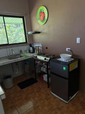 a kitchen with a stove and a sink and a counter at NeyHouse in Sarapiquí