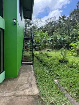 a green building with a ladder on the side of it at NeyHouse in Sarapiquí