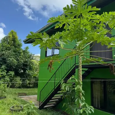 NeyHouse