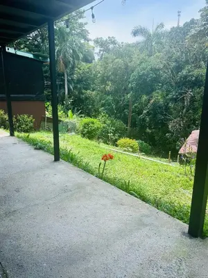 a walkway with a flower in the grass at Paraíso Natural in Quepos