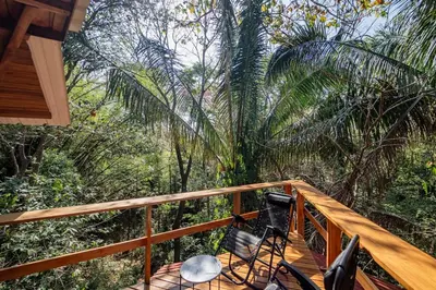 a wooden deck with chairs and palm trees at Samara Tarantela, Treehouse in Sámara