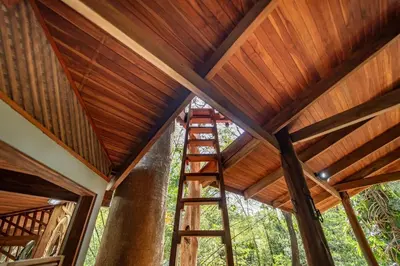 a ladder in the ceiling of a tree house at Samara Tarantela, Treehouse in Sámara