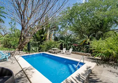 a swimming pool in a yard with chairs and trees at Samara Tarantela, Treehouse in Sámara