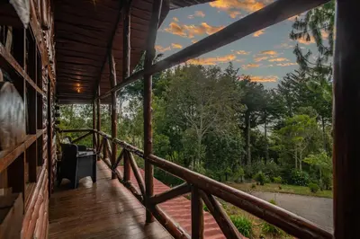 a porch of a house with a view of the forest at Cabaña English Evergreen in Jardín