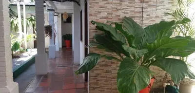 a plant in a pot next to a brick wall at Hotel Aldea Pura Vida in Puntarenas