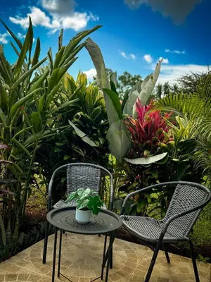 two chairs and a table in front of plants at Tilawa La Fortuna Glamping in Ángeles