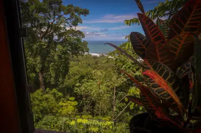 a view of the ocean from a window with a plant at La Uvita Perdida in Uvita