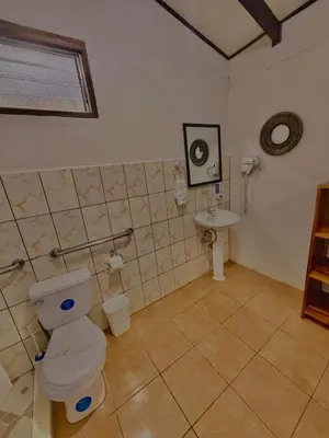 a bathroom with a toilet and a sink at Loma Real Hot Springs Bed & Breakfast in Fortuna
