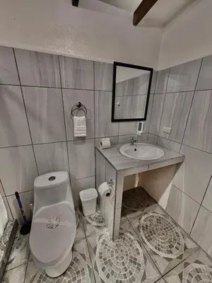 a bathroom with a toilet and a sink at Loma Real Hot Springs Bed & Breakfast in Fortuna