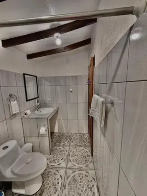 a bathroom with a toilet and a sink at Loma Real Hot Springs Bed & Breakfast in Fortuna