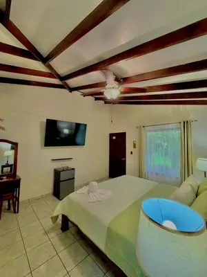 a bedroom with a large bed and a couch at Loma Real Hot Springs Bed & Breakfast in Fortuna