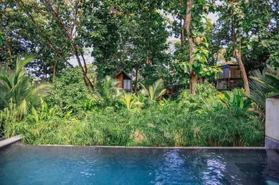 a swimming pool in front of a house with trees at D'Village 8 - 1 bdr loft in Mal País in Mal País