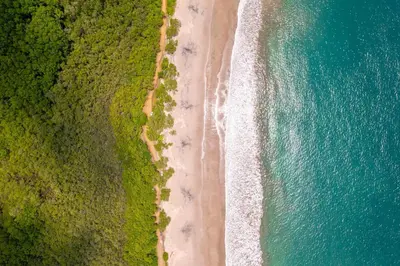 an overhead view of a beach and the ocean at Studio Ronda 18 - At Las Catalinas in Playa Danta