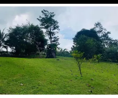 a grassy field with a playground in the background at Quinta de Montaña, San Carlos in Vara Blanca