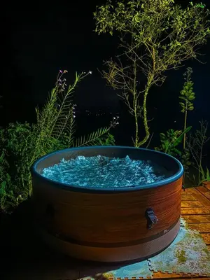 a large tub filled with blue water next to some plants at Selva Partners Chachagua