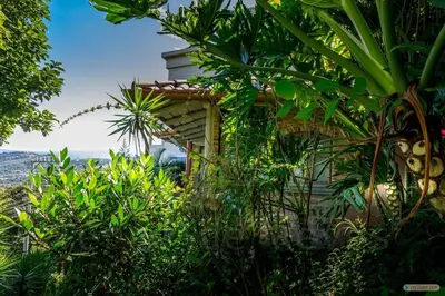 a house surrounded by trees and plants at El Cabanon del Higuerón in Santa Ana