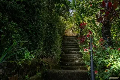 a set of stairs with flowers and plants at El Cabanon del Higuerón in Santa Ana