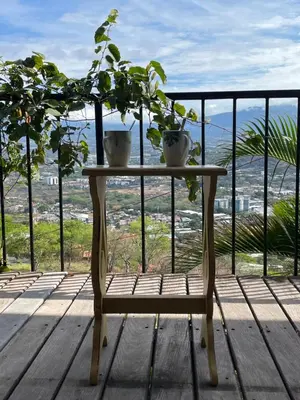 a table with two potted plants on top of a balcony at El Cabanon del Higuerón in Santa Ana