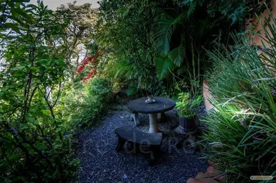 a small table sitting in the middle of a garden at El Cabanon del Higuerón in Santa Ana