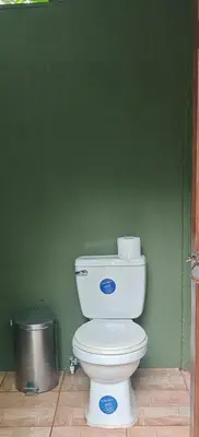 a bathroom with a white toilet in a green wall at Casa Perezosa in Parrita