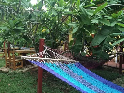 a hammock in a garden next to some plants at Aloha Surf Nosara - Kahala Hui Cabins #2 in Nosara