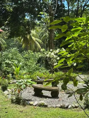 a bench sitting in the middle of a garden at Almendros de Osa Lodge in Uvita