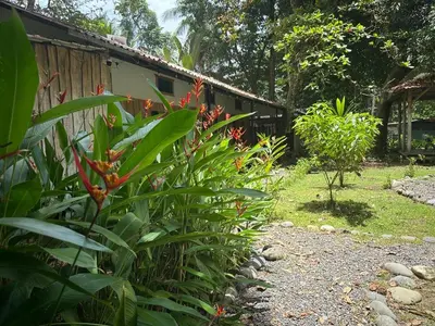 a garden with red flowers and a building at Almendros de Osa Lodge in Uvita