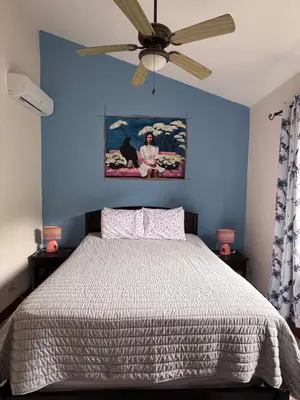 a bedroom with a bed with a ceiling fan at Birds of a Feather 2BR2BA Ocotal Coastal Retreat in Ocotal