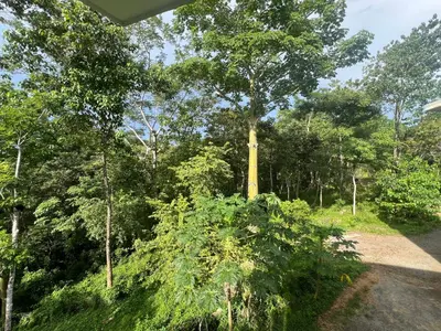 Gallery image of Pura Vida 2 Bed 2 Bath Montezuma in Montezuma
