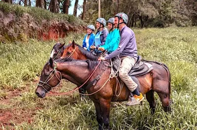 a group of people riding on the back of a horse at Wood cozy cabin with ocean views in Boston