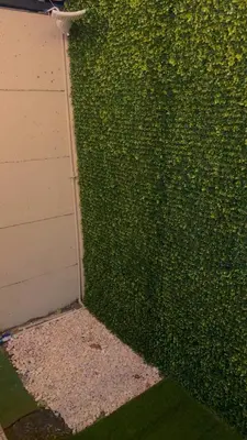 a green hedge next to a garage door at The Toucan's House