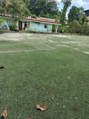 a yard with leaves on the grass in front of a house at Cabinas Hidalgo in Ojochal