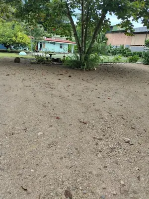 a dirt road with a tree and a house at Cabinas Hidalgo in Ojochal