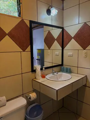 a bathroom with a sink and a mirror and a toilet at Monteverde Ecolodge in Monteverde Costa Rica