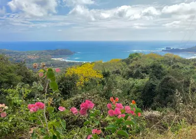 a view of the ocean from a hill with flowers at Tres Corazones in Carrillo