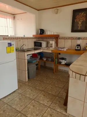a kitchen with a counter and a refrigerator in it at Arenal Dreams Apartments in Fortuna