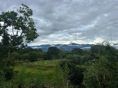a herd of sheep grazing in a field with mountains at Tree of Heaven Lodge in San Isidro