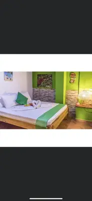 a bedroom with a large bed with green walls at LA DOLCE VITA - on the Beach - Samara in Sámara