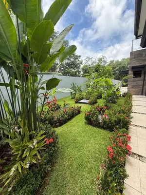 a garden with flowers and plants in a building at Villa Montemar Ocean and Mountain Views Elevated 1200 FT with Wifi in Platanillo