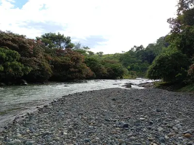 a river with rocks and trees on the side at Magnolia Farm Suites in San Isidro