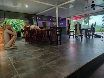 Gallery image of Mata palo beach club in Savegre