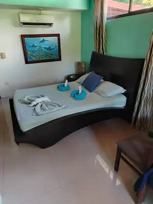 Gallery image of Mata palo beach club in Savegre