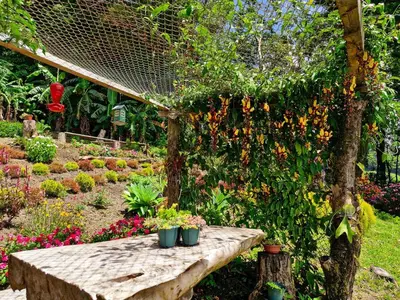 a garden with a table and some flowers at House in the Clouds -Monteverde in Tilarán