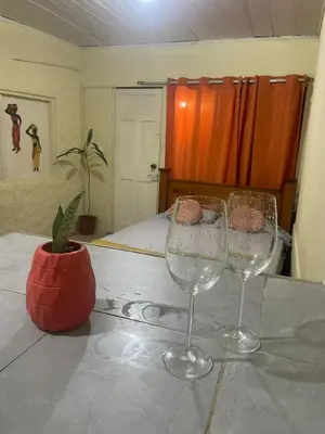 two wine glasses sitting on a table with a potted plant at Quiet cabin 10 minutes from the sea in Nicoya