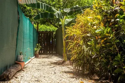 a garden with a fence and some plants at Quiet cabin 10 minutes from the sea in Nicoya