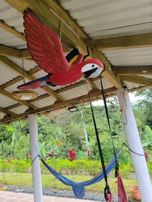 a parrot kite hanging from a roof at Pacayitas El Camino House in Turrialba