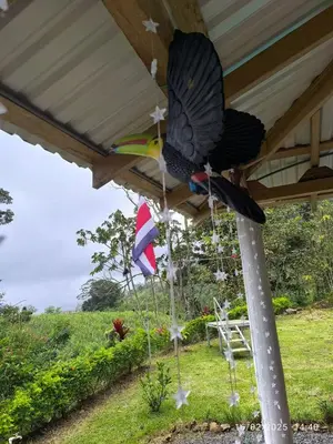 a large bird perched on a pole under a roof at Pacayitas El Camino House in Turrialba