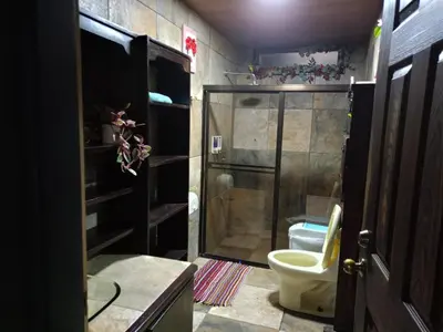 a bathroom with a shower and a toilet at Harmony Retreat in Fortuna