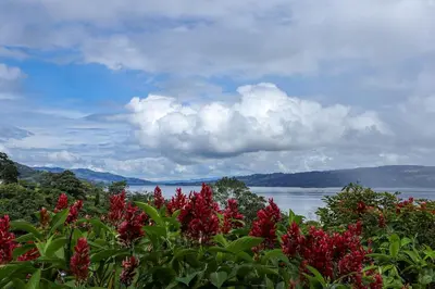 a view of a lake with red flowers at Volcano & Lake View Oasis with Scenic Tub in El Castillo de La Fortuna