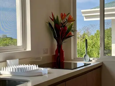 a kitchen counter with a vase with flowers in a window at Casa Blanca Manuel Antonio A1, Central, Pool, Gated in Manuel Antonio